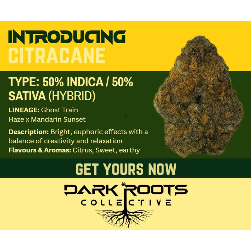 Citracane.jpg